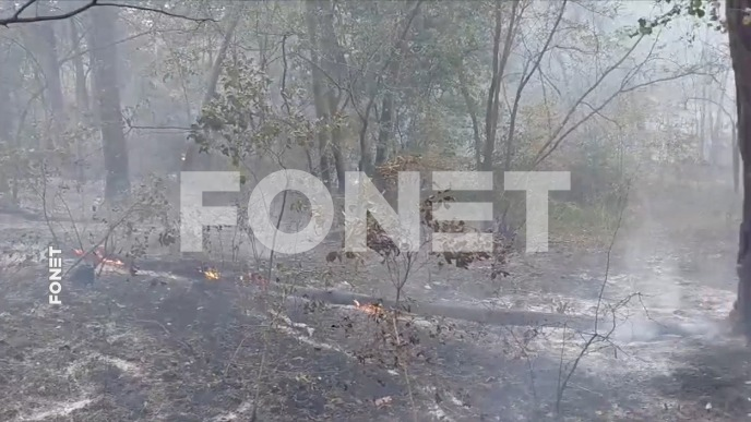 Požar u sjeničkom kraju